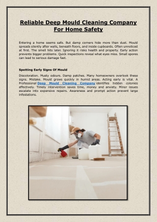 Reliable Deep Mould Cleaning Company For Home Safety