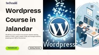 Best WordPress Course in Jalandhar