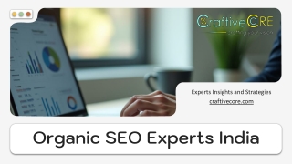Organic SEO Experts in India for Higher Rankings