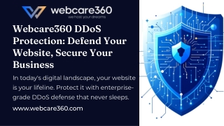 Webcare360 DDoS Protection Defend Your Website, Secure Your Business