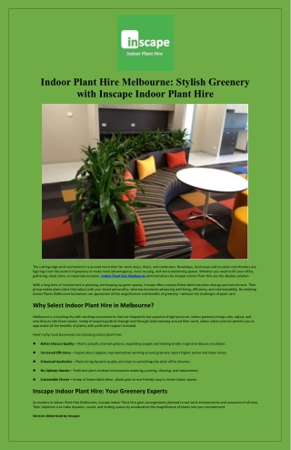 Indoor Plant Hire Melbourne Stylish Greenery with Inscape Indoor Plant Hire
