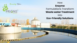 How Enzyme Formulations Transform Waste water Treatment into Eco-Friendly Solutions