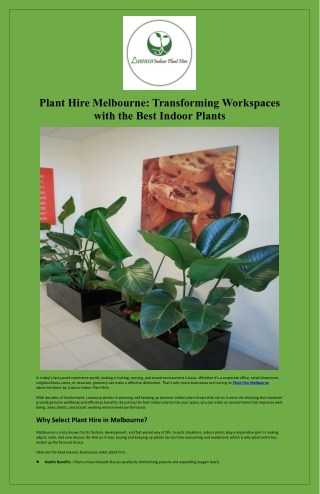 Plant Hire Melbourne Transforming Workspaces with the Best Indoor Plants