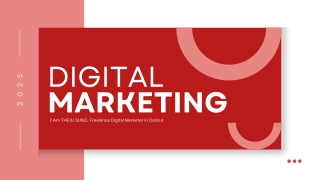 theju sunil freelance digital marketer