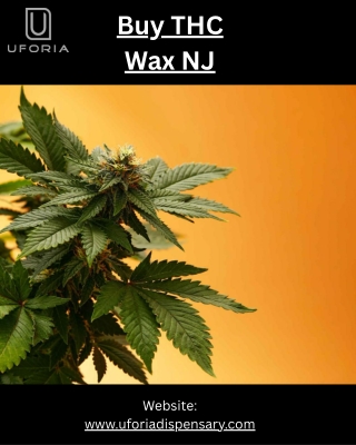 Buy THC Wax NJ – Uforia Dispensary