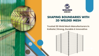 Shaping Boundaries with 3D Welded Mesh