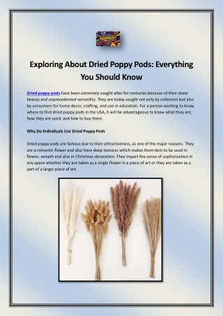 Exploring About Dried Poppy Pods: Everything You Should Know