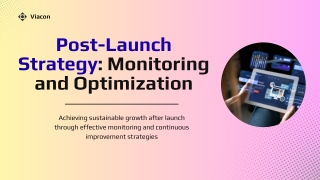 Post-Launch Strategy: Monitoring and Optimization