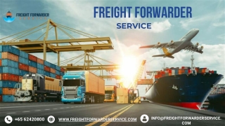 sea freight forwarder logistics