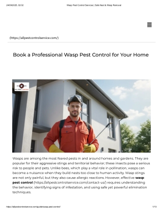 Wasp Pest Control Services _ Safe Nest & Wasp Removal