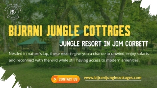 Jungle Resort in Jim Corbett – Luxury Meets Wilderness with CYJ