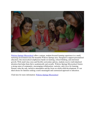 Lighthouse Learning Microschool: Innovative Education for Future Leaders