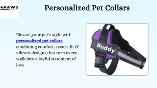 Personalized Pet Collars