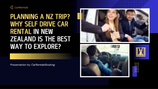 Planning a NZ Trip Why Self Drive Car Rental in New Zealand Is the Best Way to Explore
