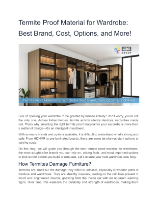 Termite Proof Material for Wardrobe Best Brand, Cost, Options, and More!