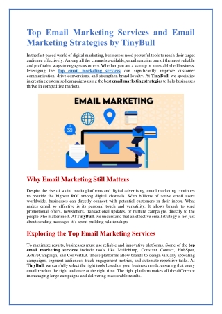 TinyBull Provides the Best in Top Email Marketing Services