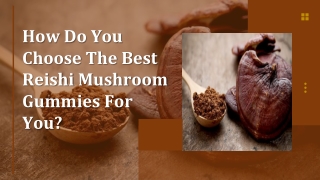 How Do You Choose The Best Reishi Mushroom Gummies For You?