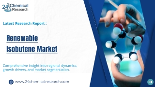 Renewable Isobutene Market, Global Outlook and Forecast 2025-2032