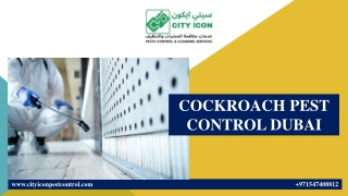 COCKROACH PEST CONTROL DUBAI