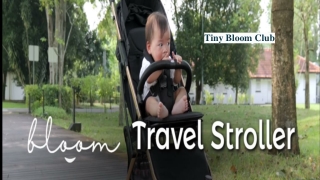 Bloom Travel Stroller