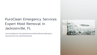 Expert Mold Removal Company in Jacksonville, FL | PuroClean Emergency Services