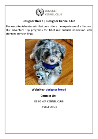 Designer Breed  Designer Kennel Club