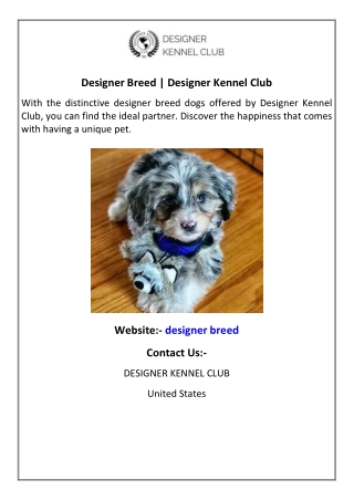 Designer Breed  Designer Kennel Club