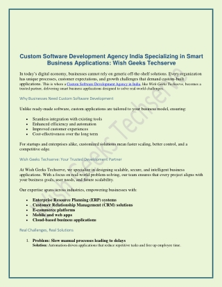 Custom Software Development Agency India Specializing in Smart Business Applications