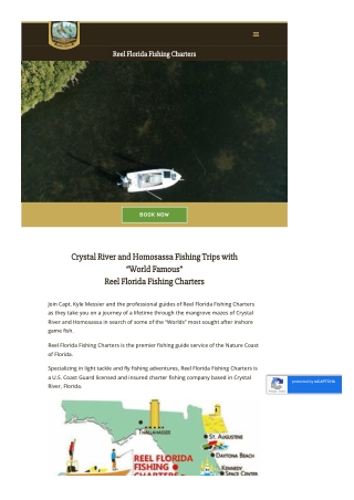 Crystal River Fishing Trip