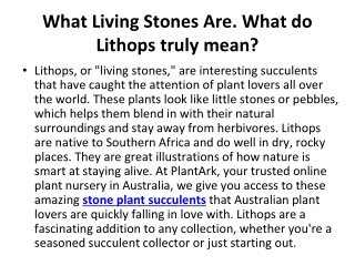 What Living Stones Are. What do Lithops truly mean_