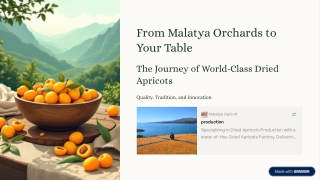 From Malatya Orchards to Your Table The Journey of World-Class Dried Apricots – Quality, Tradition, and Innovation