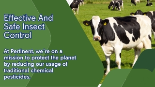Effective And Safe Insect Control