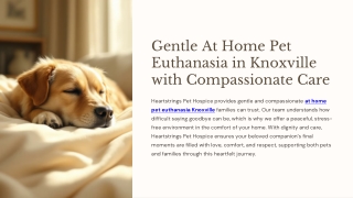 Gentle At Home Pet Euthanasia in Knoxville with Compassionate Care