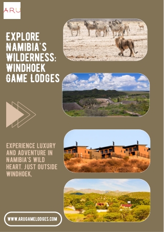 Explore Namibia's Wilderness Windhoek Game Lodges