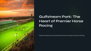 Gulfstream Horse Racing & Track Insights