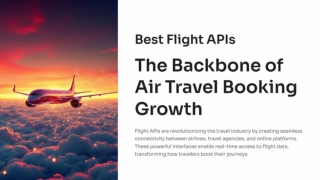 Best Flight APIs The Backbone Of Air Travel Booking Growth