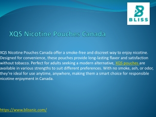 XQS Nicotine Pouches Canada