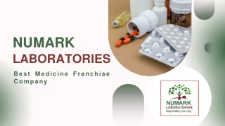 Best Medicine Franchise Company