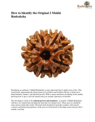 how to identify 2 mukhi rudraksha