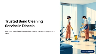 Trusted Bond Cleaning Service in Dineela