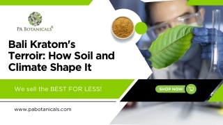 Bali Kratom's Terroir: How Soil and Climate Shape It