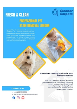 Pet Stain Removal London | Cleanercarpetslondon.com