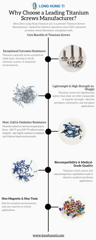 Premium Titanium Screws by Shen Zhen Long Hung Titanium Ltd. – Trusted Titanium Screws Manufacturer