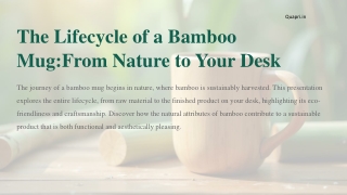 The Lifecycle of a Bamboo Mug From Nature to Your Desk