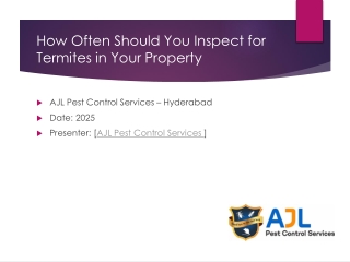 How Often Should You Inspect for Termites in Your Property?