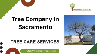 Tree Company In Sacramento - cisnerostreecare.com