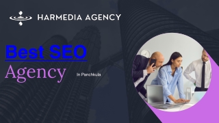 Best SEO Agency in Panchkula.