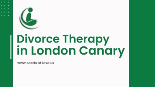 Professional Divorce Therapy in London Canary Services
