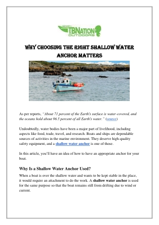 Why Choosing the Right Shallow Water Anchor Matters