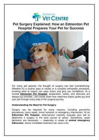 Pet Surgery Explained How an Edmonton Pet Hospital Prepares Your Pet for Success